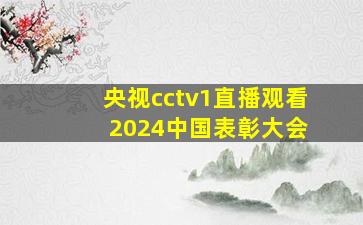 央视cctv1直播观看 2024中国表彰大会